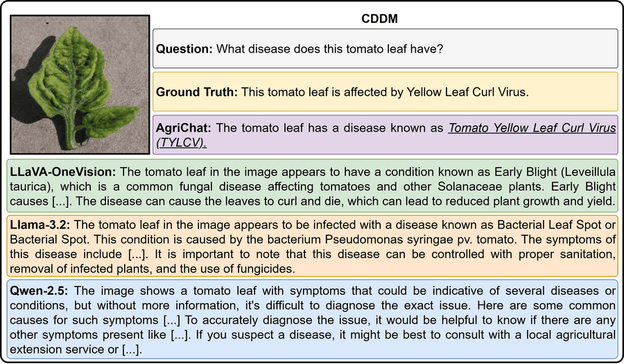 Качественное сравнение на задаче диагностики болезни томата (CDDM).