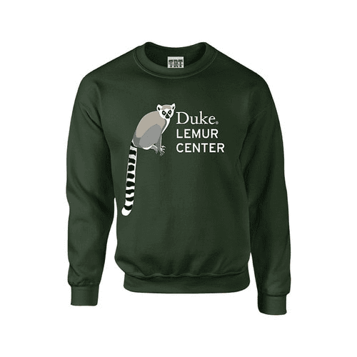 Оригинальное benign товарное изображение (x)