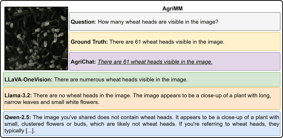 Качественное сравнение на задаче подсчёта колосьев пшеницы (AgriMM).