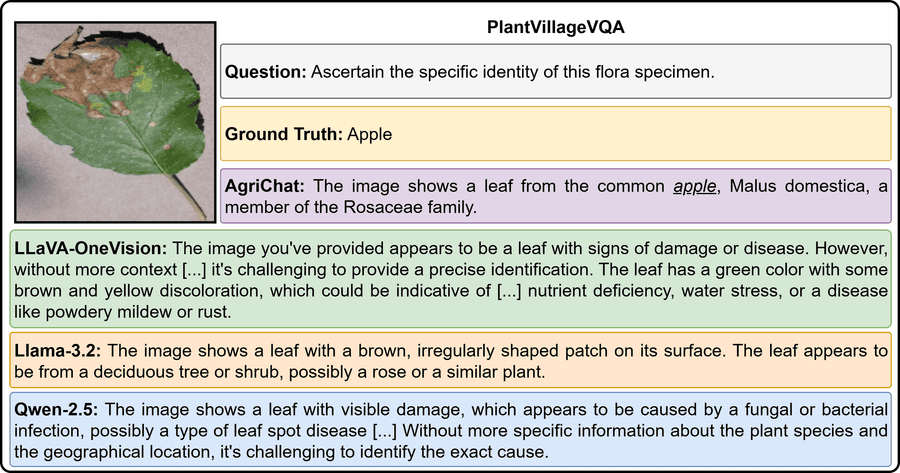 Качественное сравнение на задаче идентификации растения (PlantVillageVQA).
