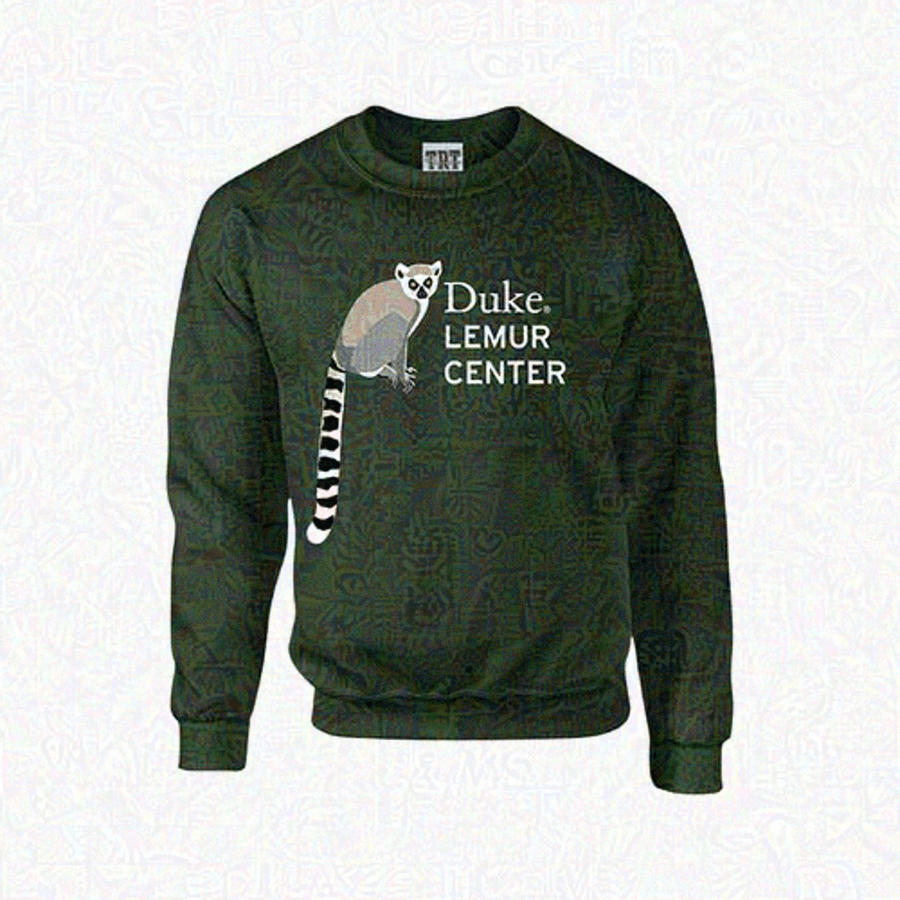 Адверсариальное изображение после BIM-возмущения (x̃ = x + δ*)