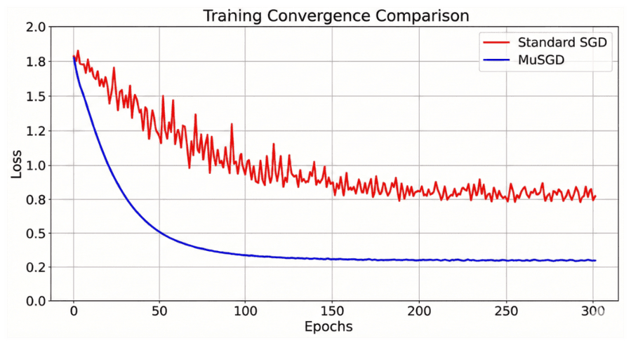 Динамика оптимизации MuSGD