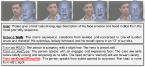 Рисунок 11: Качественная абляция по корпусу для Motion2Language. Варианты на MEAD и YouTube выдают generic или частично корректные описания, тогда как модель на Open3DFaceVid точнее всего ловит тонкий переход от беспокойства к удивлению и движение головы.